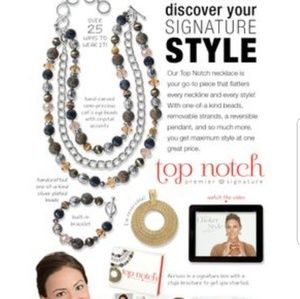 Top Notch Necklace by Premier Designs